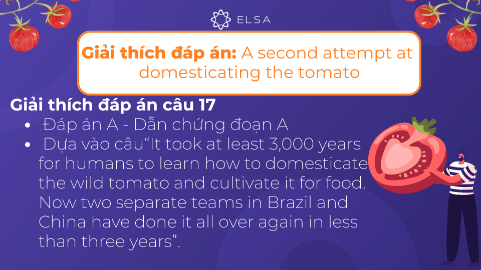 Giải thích chi tiết đáp án của câu 17 Giải thích chi tiết đáp án của câu 17