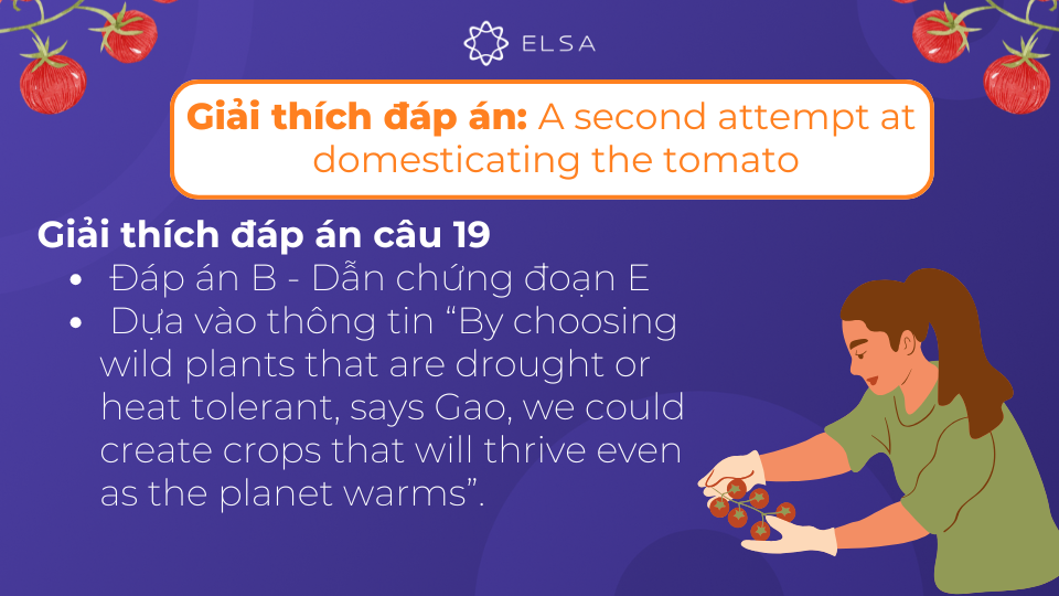 Giải thích chi tiết đáp án của câu 19 Giải thích chi tiết đáp án của câu 19
