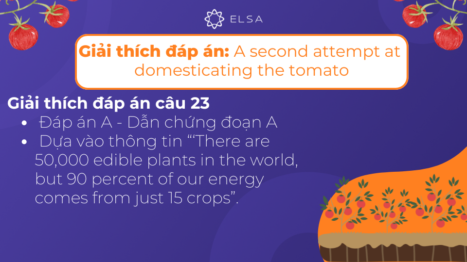 Giải thích chi tiết đáp án của câu 23 Giải thích chi tiết đáp án của câu 23