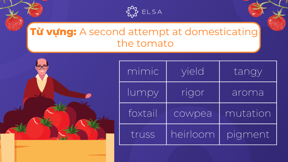 Các từ vựng quan trọng của bài A second attempt at domesticating the tomato Các từ vựng quan trọng của bài A second attempt at domesticating the tomato