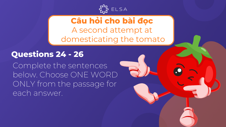 Yêu cầu đề bài cho câu hỏi 24 - 26 của bài đọc A second attempt at domesting the tomato Yêu cầu đề bài cho câu hỏi 24 - 26 của bài đọc A second attempt at domesting the tomato