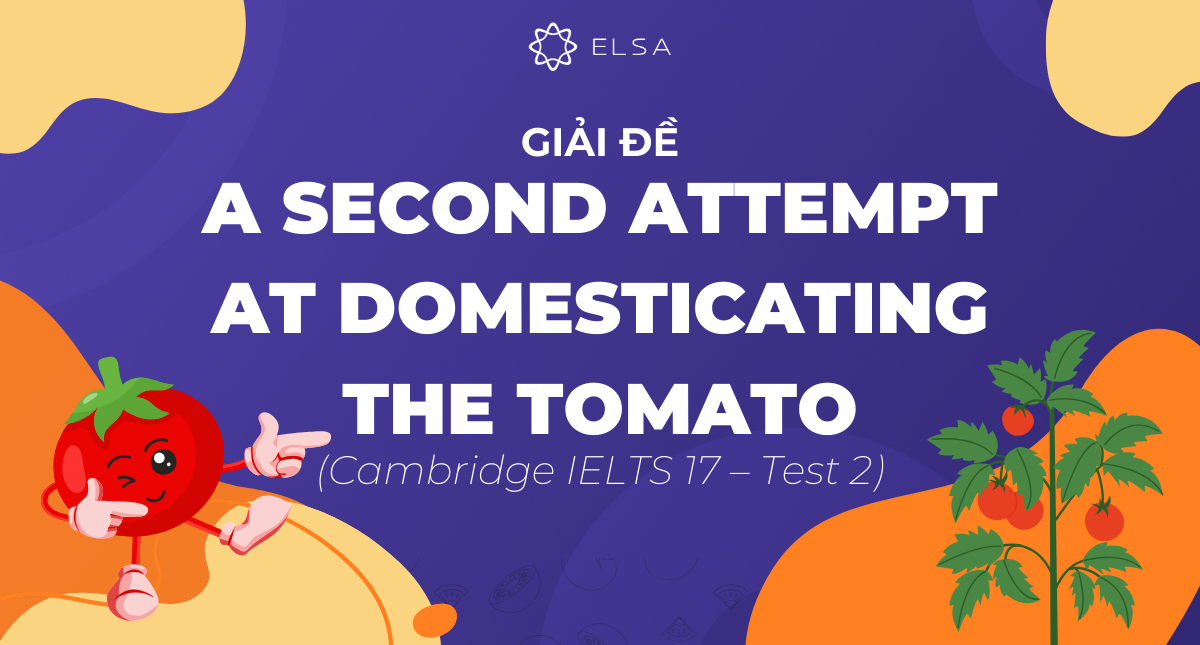 Giải đề A second attempt at domesticating the tomato trong sách Cambridge IELTS 17 – Test 2 – Reading passage 2