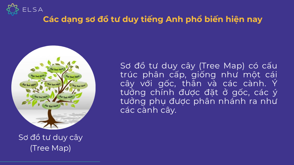 Sơ đồ tư duy cây (Tree Map) Sơ đồ tư duy cây (Tree Map)