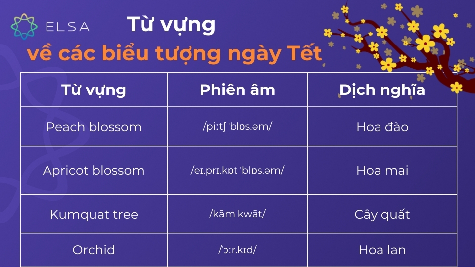 Từ vựng, phiên âm và dịch nghĩa về các biểu tượng Tết Từ vựng, phiên âm và dịch nghĩa về các biểu tượng Tết