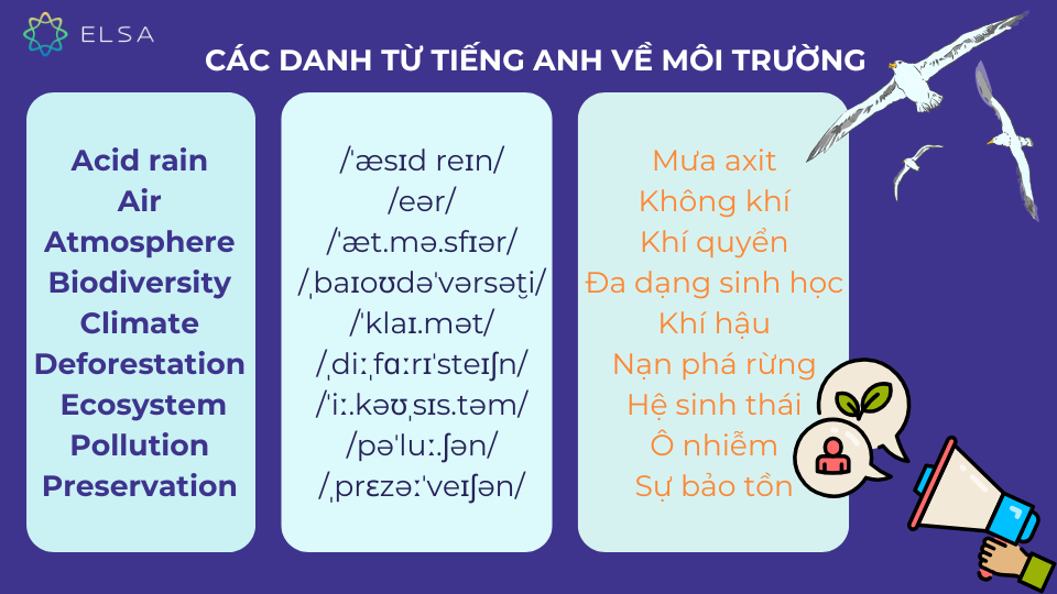 Một số danh từ tiếng Anh về môi trường phổ biến Một số danh từ tiếng Anh về môi trường phổ biến
