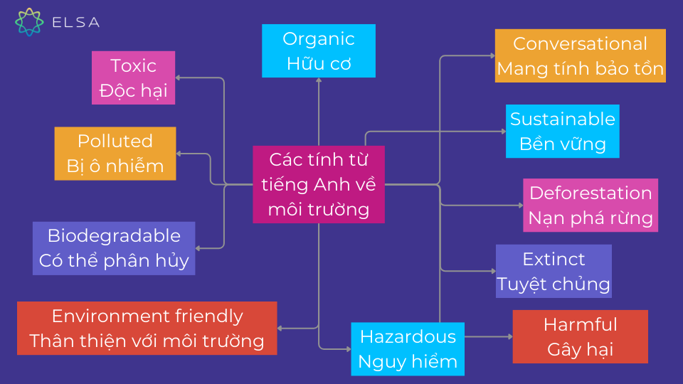 Các tính từ trong từ vựng tiếng Anh về môi trường Các tính từ trong từ vựng tiếng Anh về môi trường