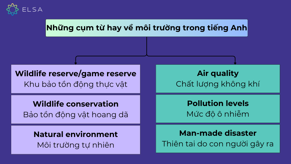 Gợi ý một số cụm từ hay về môi trường trong tiếng Anh Gợi ý một số cụm từ hay về môi trường trong tiếng Anh
