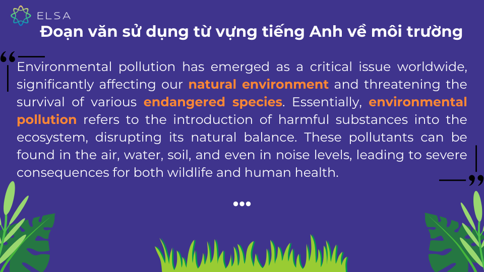 Đoạn văn có sử dụng từ vựng tiếng Anh về môi trường Đoạn văn có sử dụng từ vựng tiếng Anh về môi trường