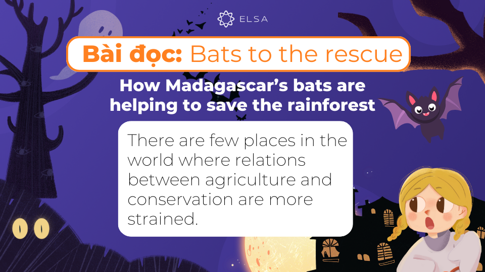 Bài đọc và bản dịch Bát to the rescue Bài đọc và bản dịch Bát to the rescue