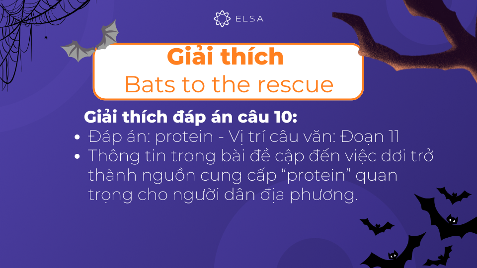 Giải thích chi tiết đáp án câu 10 của bài đọc Bats to the rescue Giải thích chi tiết đáp án câu 10 của bài đọc Bats to the rescue