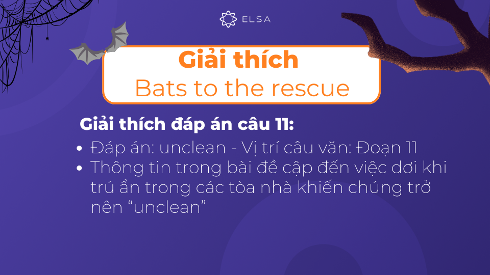 Giải thích chi tiết đáp án câu 11 của bài đọc Bats to the rescue Giải thích chi tiết đáp án câu 11 của bài đọc Bats to the rescue