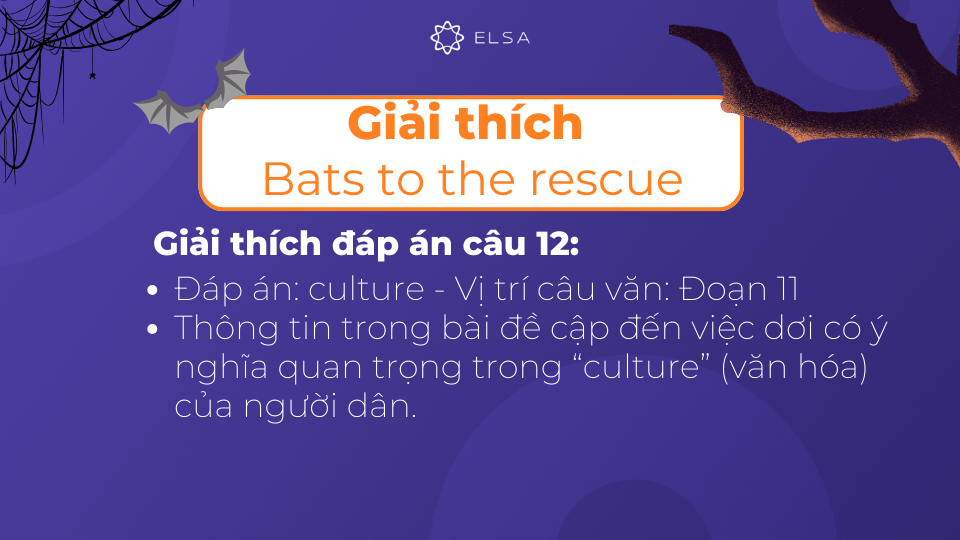 Giải thích chi tiết đáp án câu 12 của bài đọc Bats to the rescue Giải thích chi tiết đáp án câu 12 của bài đọc Bats to the rescue