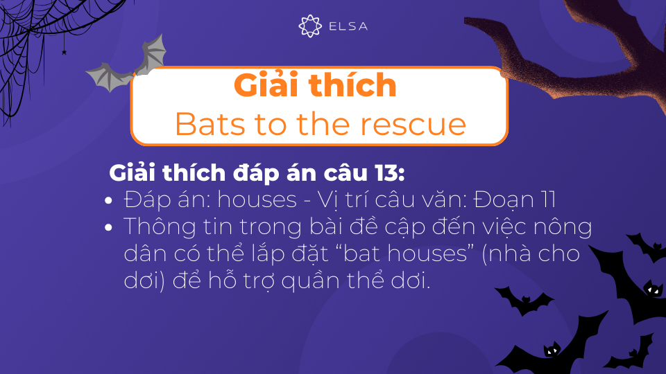 Giải thích chi tiết đáp án câu 13 của bài đọc Bats to the rescue Giải thích chi tiết đáp án câu 13 của bài đọc Bats to the rescue