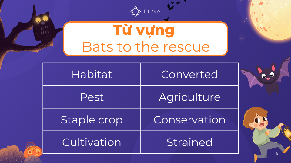 Một số từ vựng quan trọng của bài đọc Bats to the rescue Một số từ vựng quan trọng của bài đọc Bats to the rescue