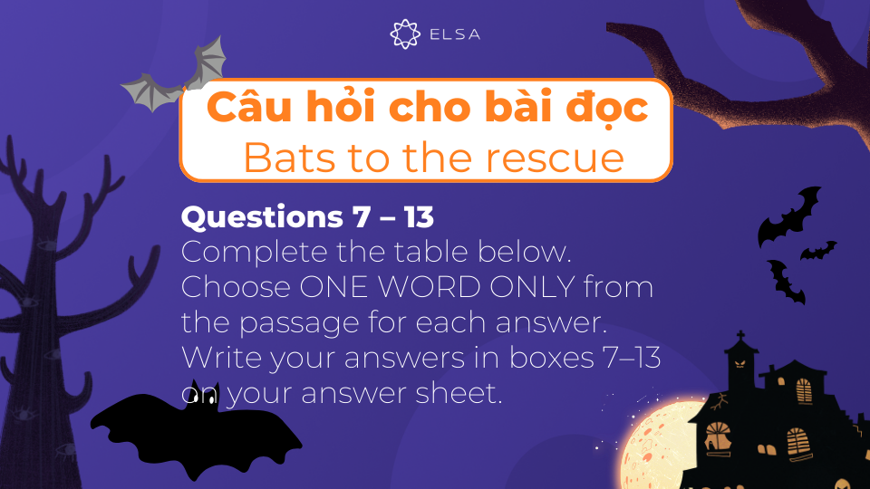 Câu hỏi của bài đọc Bats to the rescue từ câu 7 đến câu 13 Câu hỏi của bài đọc Bats to the rescue từ câu 7 đến câu 13