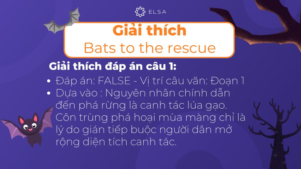 Giải thích chi tiết đáp án câu 1 của bài đọc Bats to the rescue Giải thích chi tiết đáp án câu 1 của bài đọc Bats to the rescue