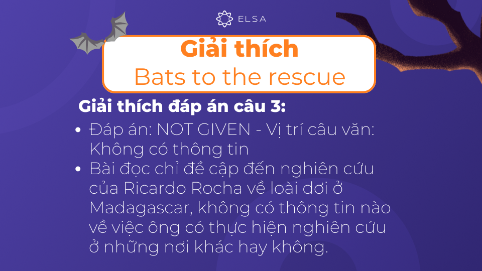 Giải thích chi tiết đáp án câu 3 của bài đọc Bats to the rescue Giải thích chi tiết đáp án câu 3 của bài đọc Bats to the rescue