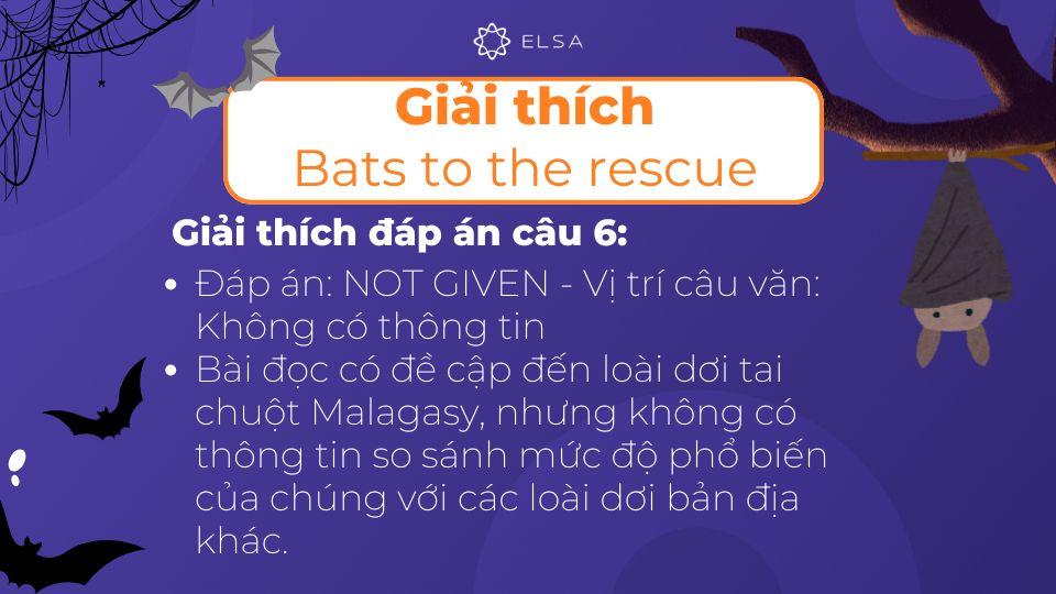 Giải thích chi tiết đáp án câu 6 của bài đọc Bats to the rescue Giải thích chi tiết đáp án câu 6 của bài đọc Bats to the rescue