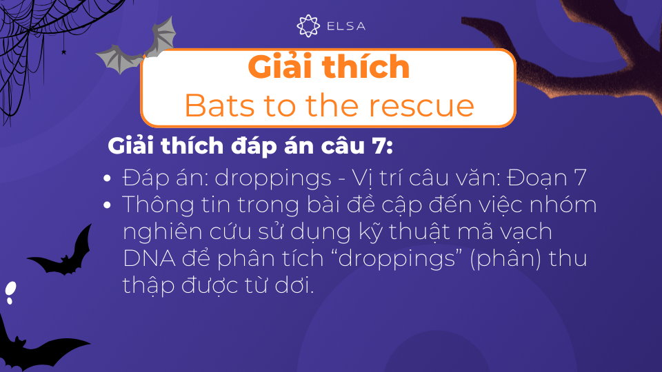 Giải thích chi tiết đáp án câu 7 của bài đọc Bats to the rescue Giải thích chi tiết đáp án câu 7 của bài đọc Bats to the rescue