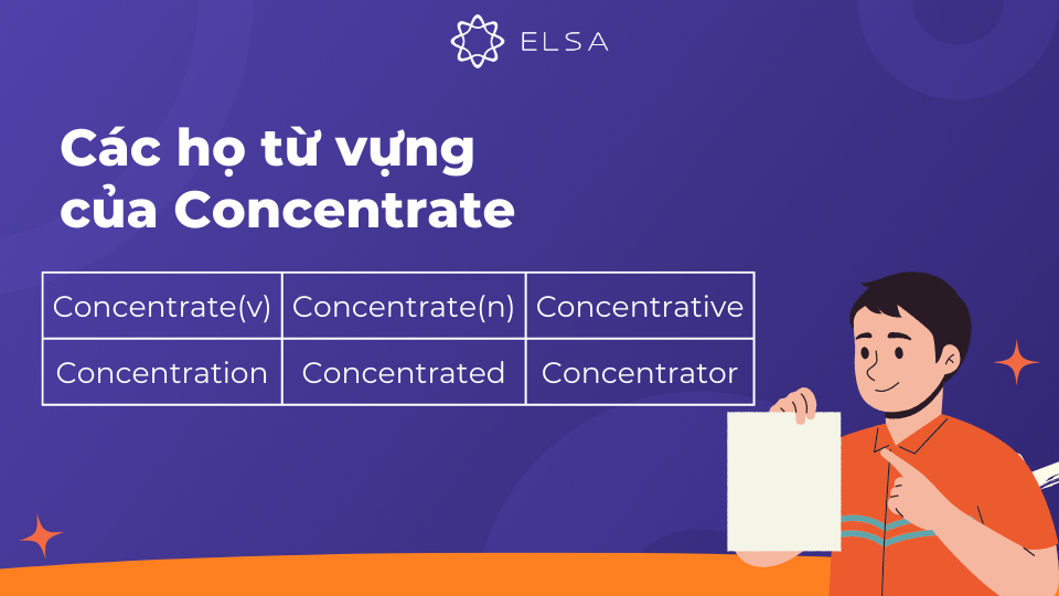 Một số họ từ vựng của Concentrate Một số họ từ vựng của Concentrate