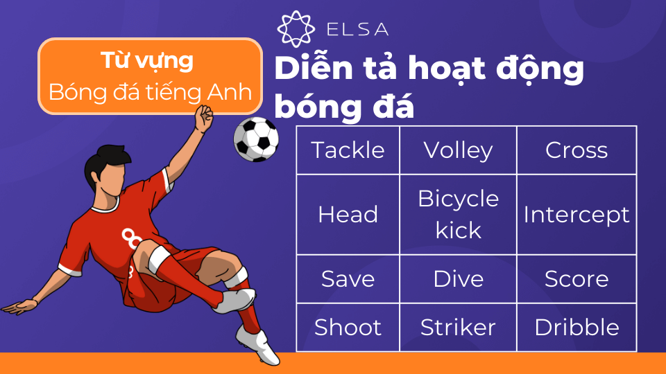 Một số từ vựng diễn tả hoạt động trong bóng đá