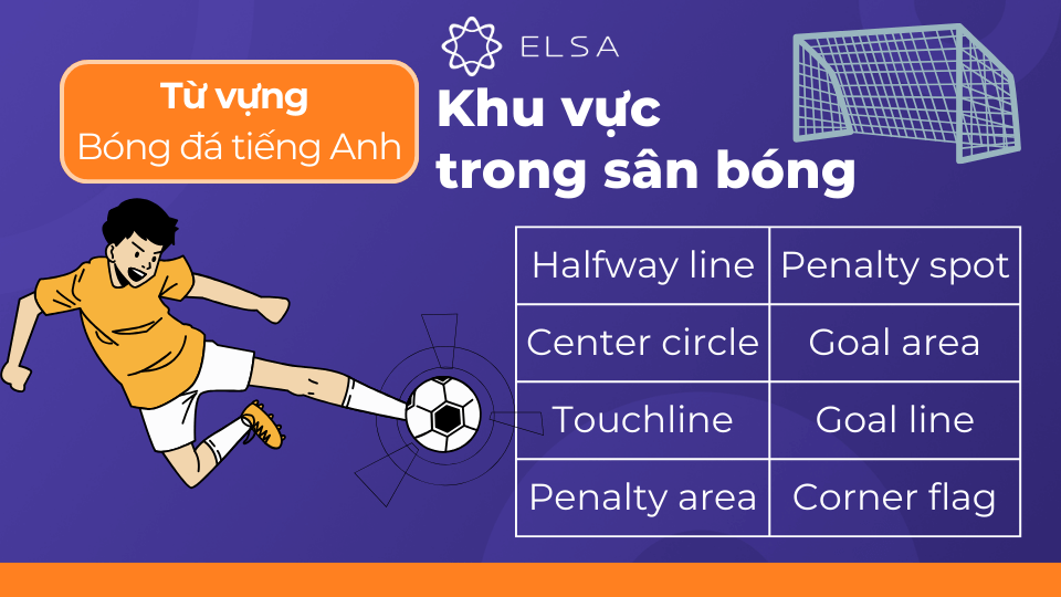 Một số từ vựng về khu vực trong sân bóng 