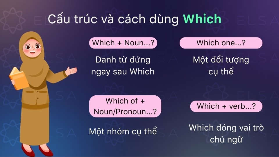 Cách dùng đại từ nghi vấn which