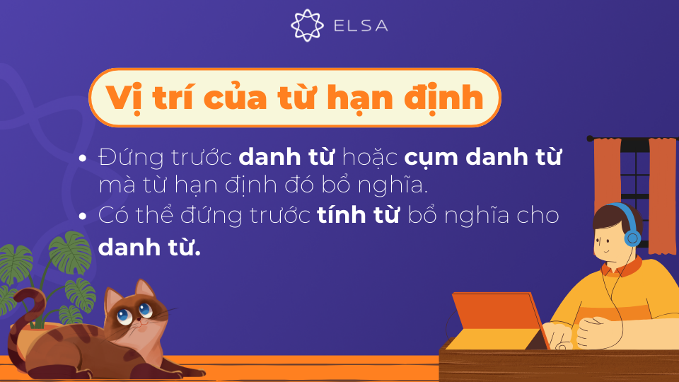 Vị trí của từ hạn định trong tiếng Anh Vị trí của từ hạn định trong tiếng Anh