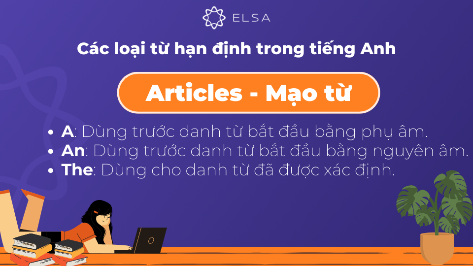 Mạo từ là một trong những loại Determiner phổ biến nhất trong tiếng Anh Mạo từ là một trong những loại Determiner phổ biến nhất trong tiếng Anh