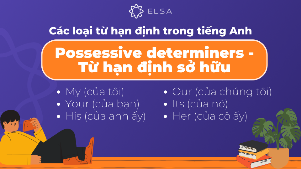 Possessive Determiner (Từ hạn định sở hữu) là những từ chỉ ra sự sở hữu Possessive Determiner (Từ hạn định sở hữu) là những từ chỉ ra sự sở hữu