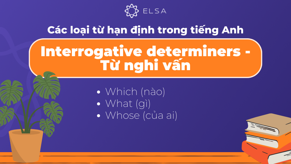Interrogative Determiner (Từ nghi vấn) được sử dụng để đặt câu hỏi về danh từ Interrogative Determiner (Từ nghi vấn) được sử dụng để đặt câu hỏi về danh từ