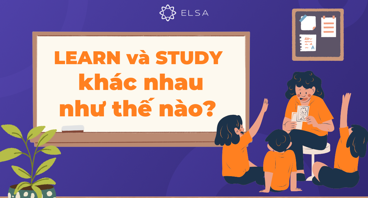 Learn và Study khác nhau như thế nào? Cách phân biệt dễ hiểu nhất