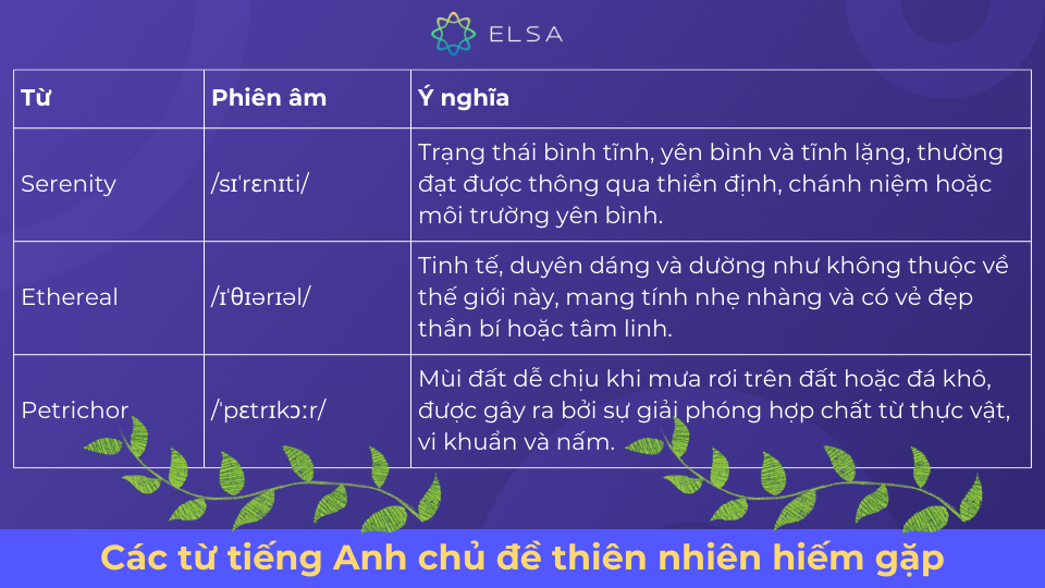 Một số từ về thiên nhiên trong tiếng Anh Một số từ về thiên nhiên trong tiếng Anh