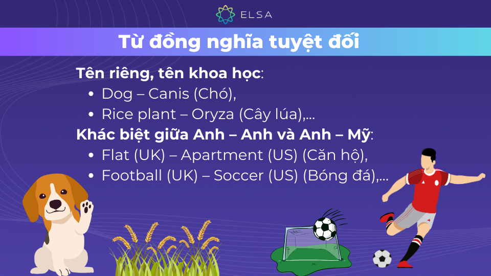 Ví dụ về từ đồng nghĩa tuyệt đối Ví dụ về từ đồng nghĩa tuyệt đối