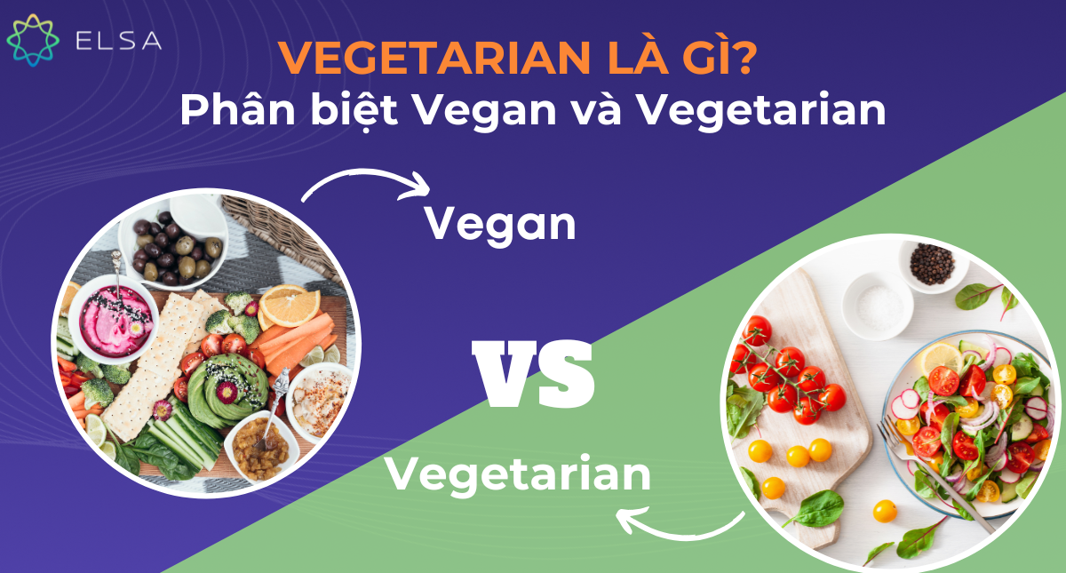 Vegetarian là gì? Phân biệt Vegan và Vegetarian trong tiếng Anh