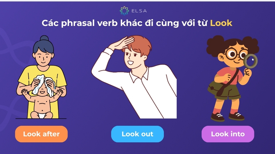 Tổng hợp các phrasal verb đi cùng look như look after, look down on, look into, look through,