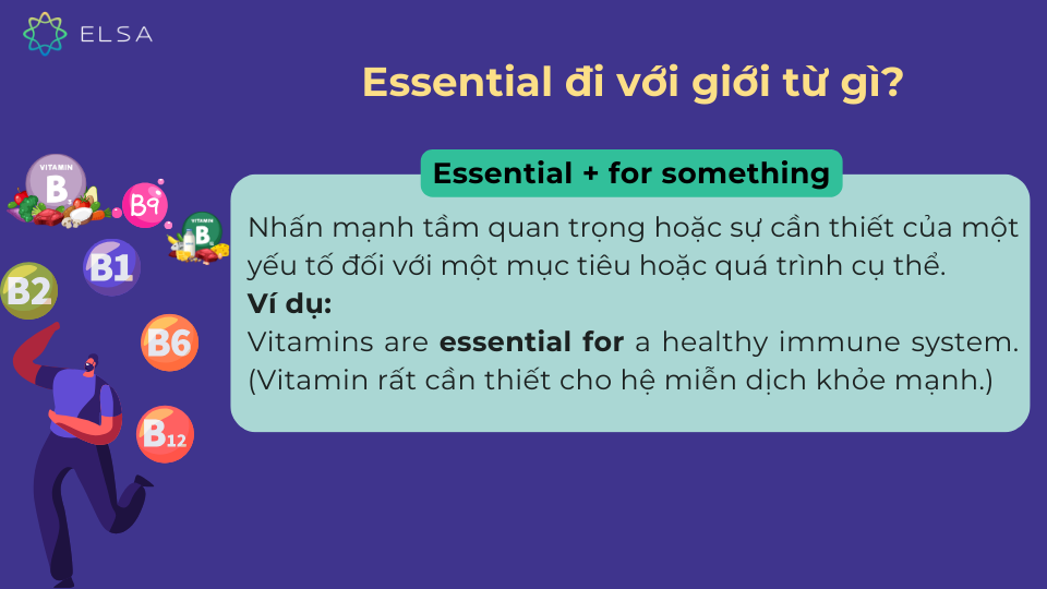 Cấu trúc và ví dụ của Essential khi đi với giới từ for Cấu trúc và ví dụ của Essential khi đi với giới từ for