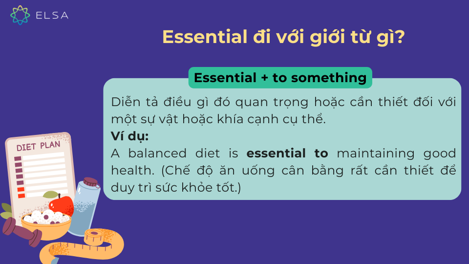 Cấu trúc và ví dụ của Essential khi đi với giới từ to Cấu trúc và ví dụ của Essential khi đi với giới từ to