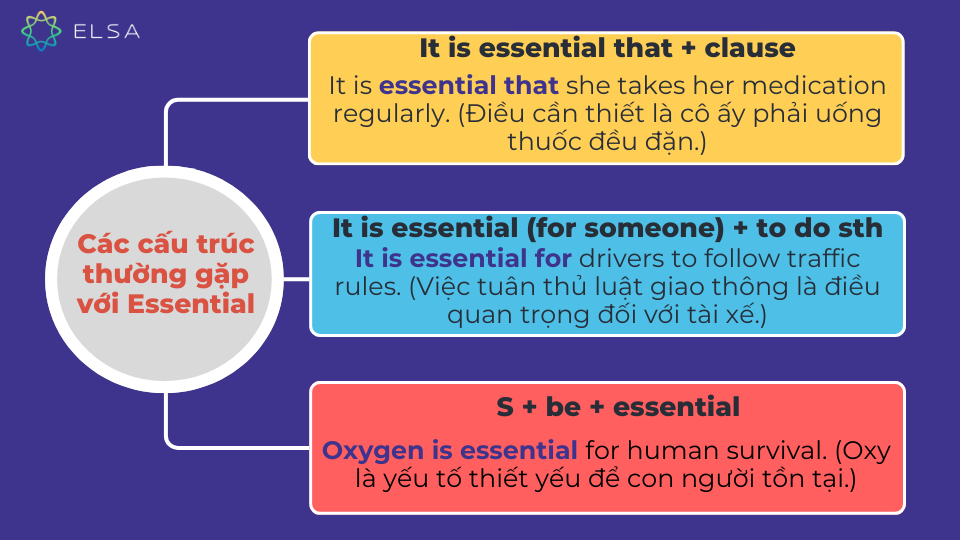 Các cấu trúc thường gặp với Essential Các cấu trúc thường gặp với Essential