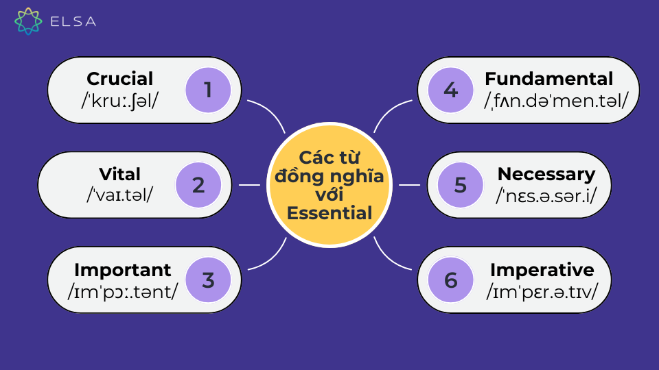 Các từ đồng nghĩa với Essential Các từ đồng nghĩa với Essential