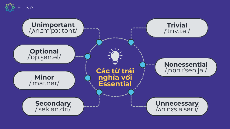 Các từ trái nghĩa với Essential Các từ trái nghĩa với Essential