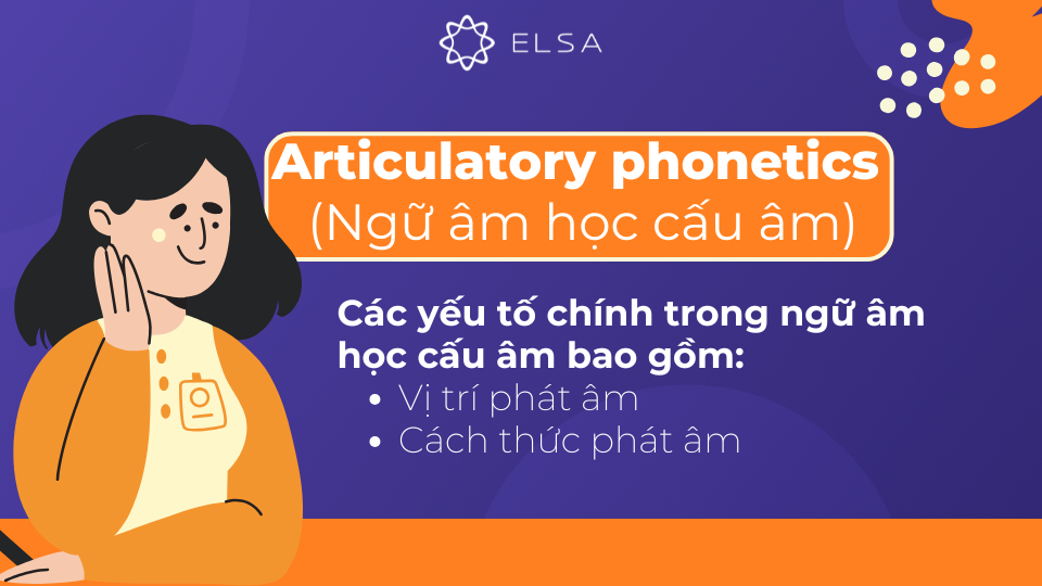 Ngữ âm học cấu âm nghiên cứu cách các cơ quan phát âm Ngữ âm học cấu âm nghiên cứu cách các cơ quan phát âm
