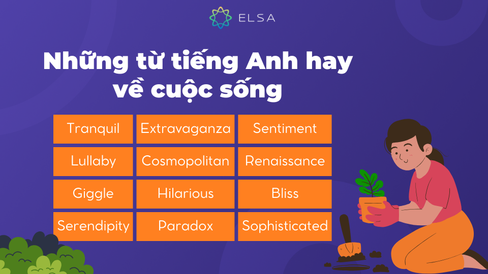 Một số từ tiếng Anh hay và đẹp về cuộc sống Một số từ tiếng Anh hay và đẹp về cuộc sống