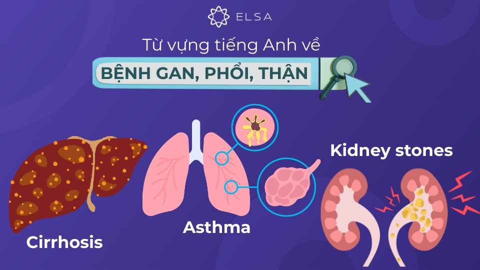 Từ vựng tiếng Anh về các loại bệnh gan, phổi và thận Từ vựng tiếng Anh về các loại bệnh gan, phổi và thận