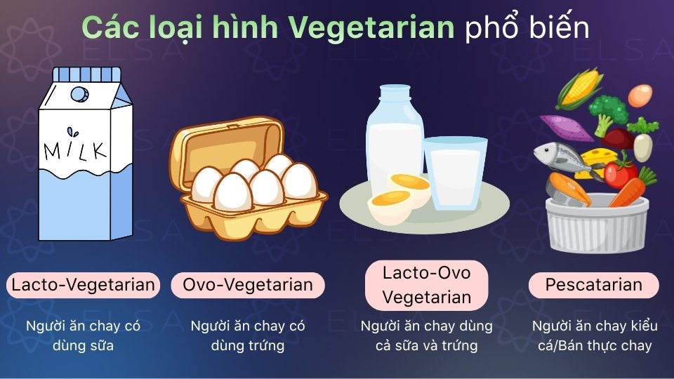 Gồm 4 nhóm: Lacto-, Ovo-, Lacto-Ovo Vegetarian và Pescatarian