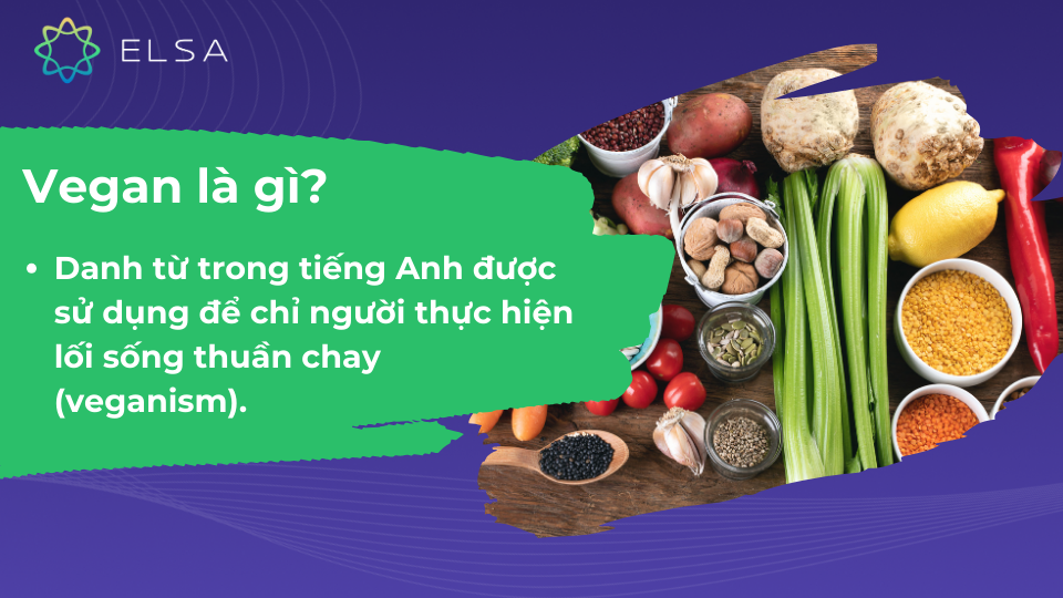 Tìm hiểu về khái niệm vegan Tìm hiểu về khái niệm vegan