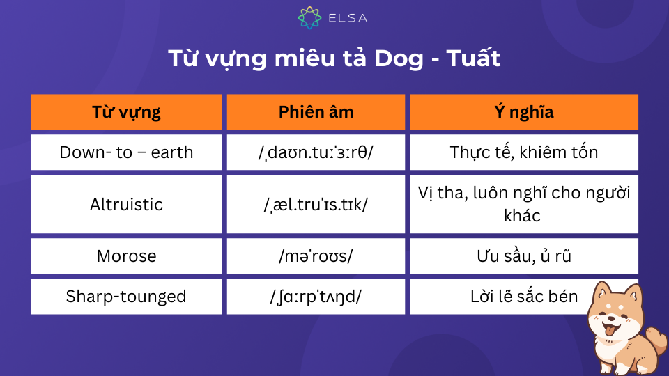 Một số từ vựng miêu tả Dog - Tuất trong tiếng Anh Một số từ vựng miêu tả Dog - Tuất trong tiếng Anh