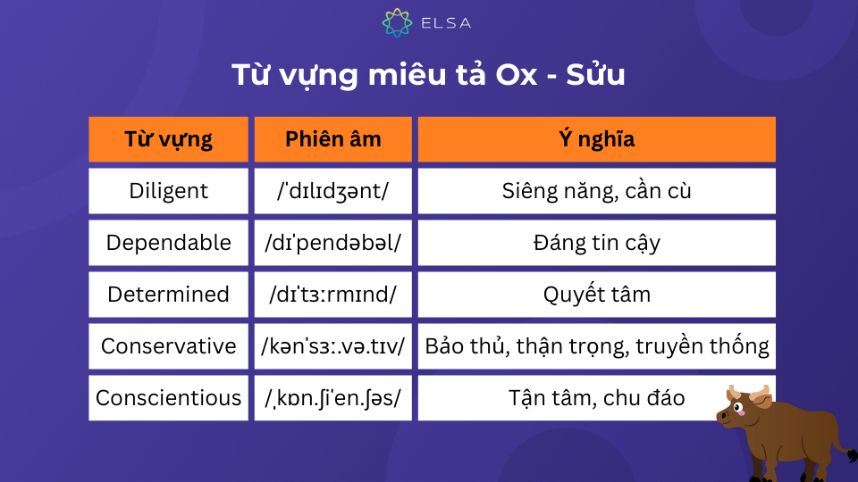 Một số từ vựng miêu tả Ox - Sửu trong tiếng Anh Một số từ vựng miêu tả Ox - Sửu trong tiếng Anh