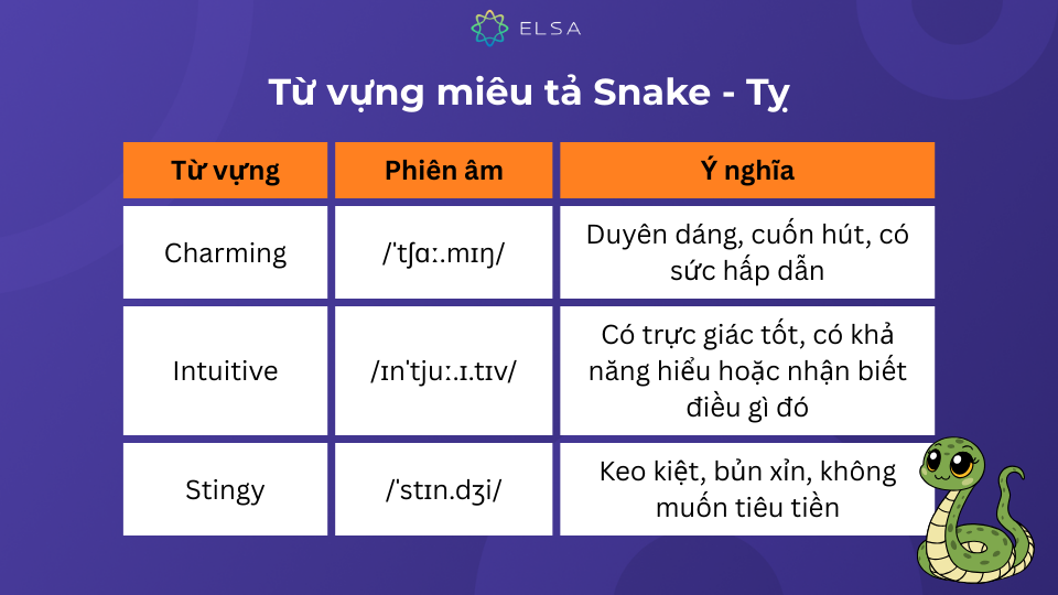Một số từ vựng miêu tả Snake - Tỵ trong tiếng Anh Một số từ vựng miêu tả Snake - Tỵ trong tiếng Anh