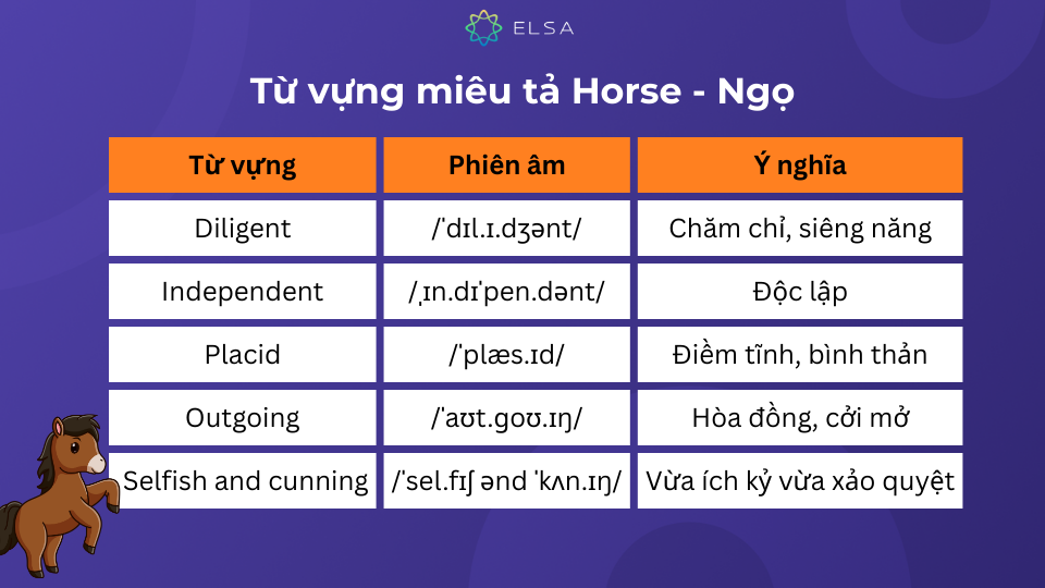 Một số từ vựng miêu tả Horse - Ngọ trong tiếng Anh Một số từ vựng miêu tả Horse - Ngọ trong tiếng Anh